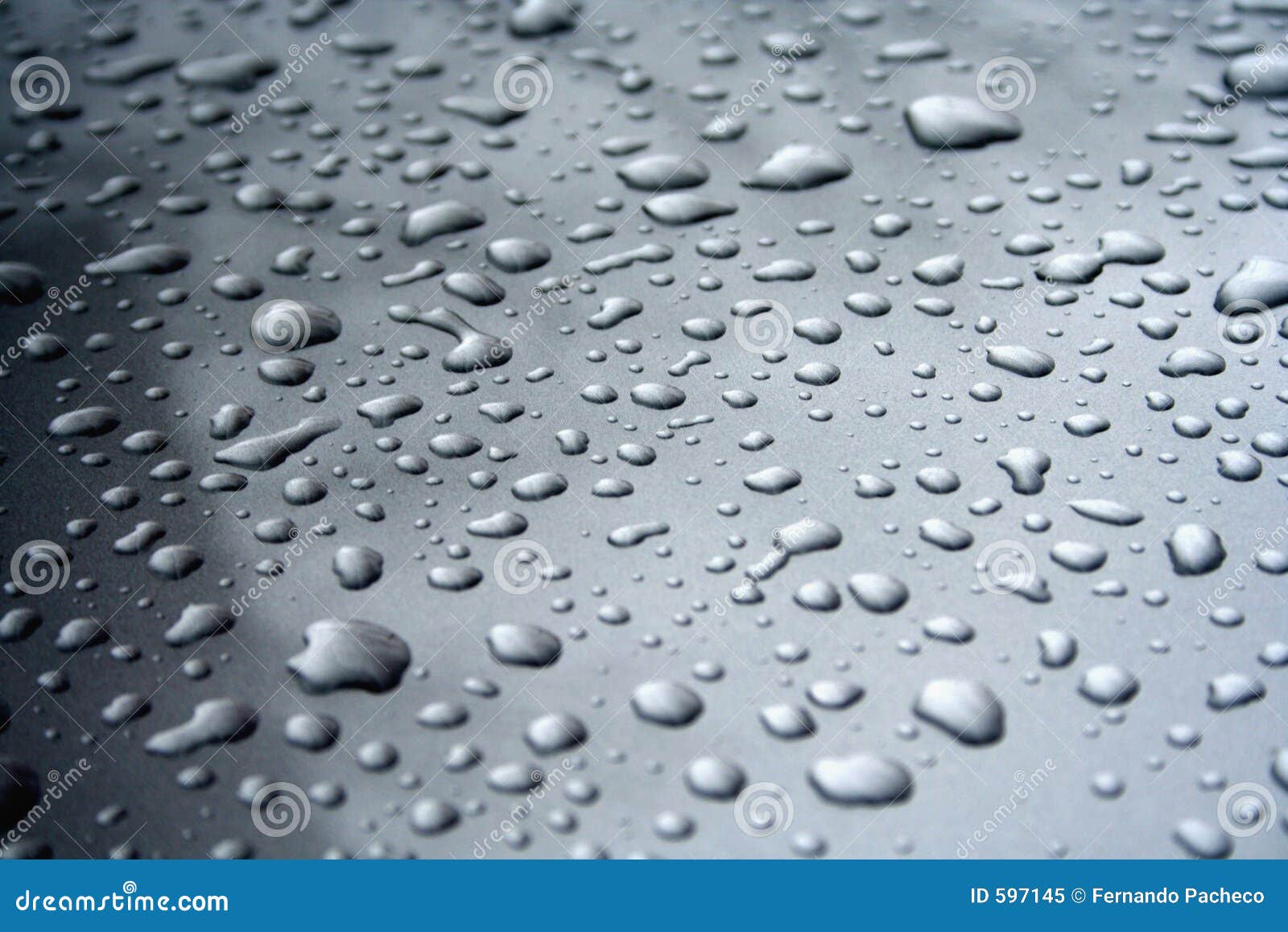 Rain Drops Stock Image Image Of Reflection Rain Splash 597145