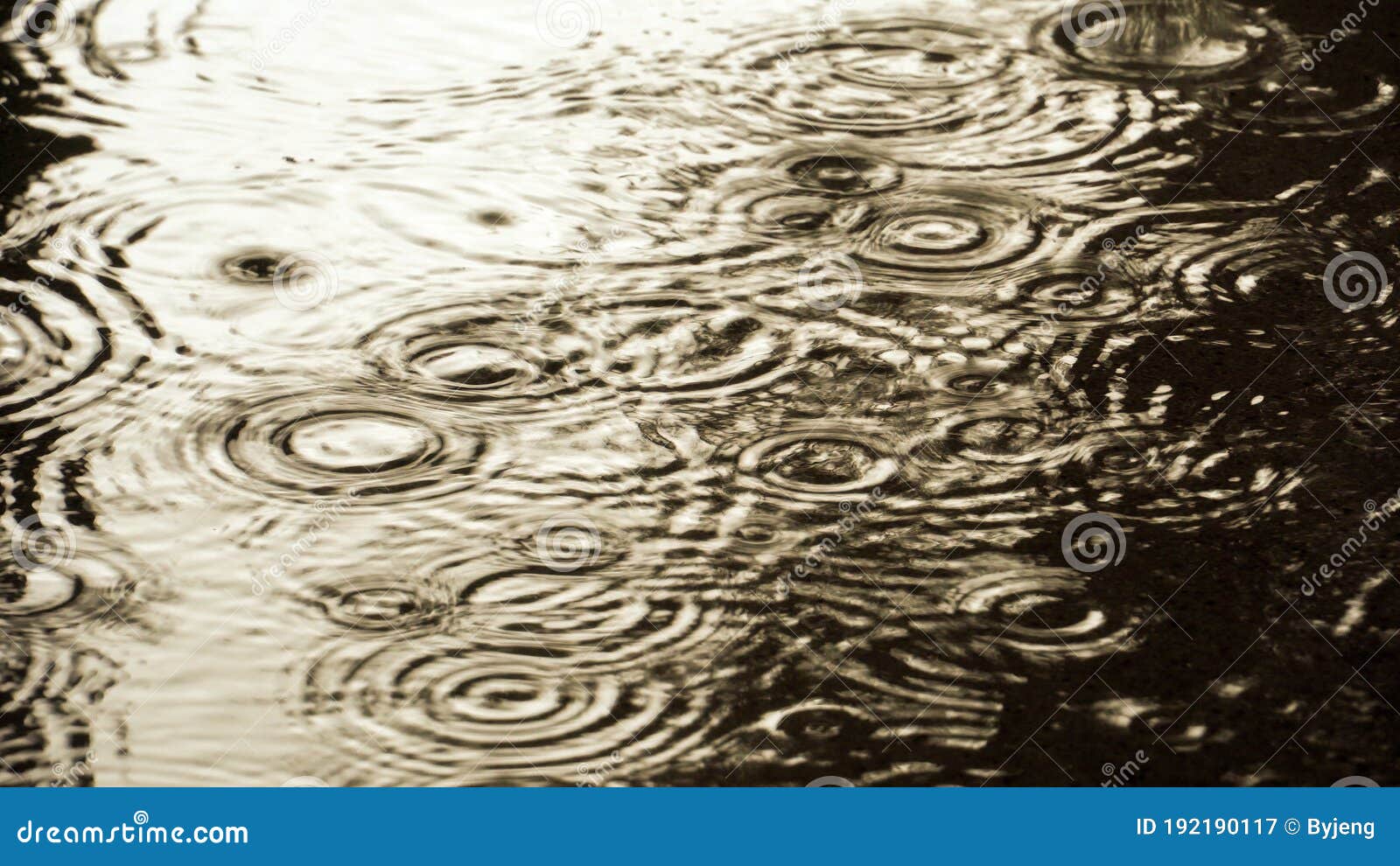 Rain Drops in the Water, Effect Filter Stock Image Image of raindrop
