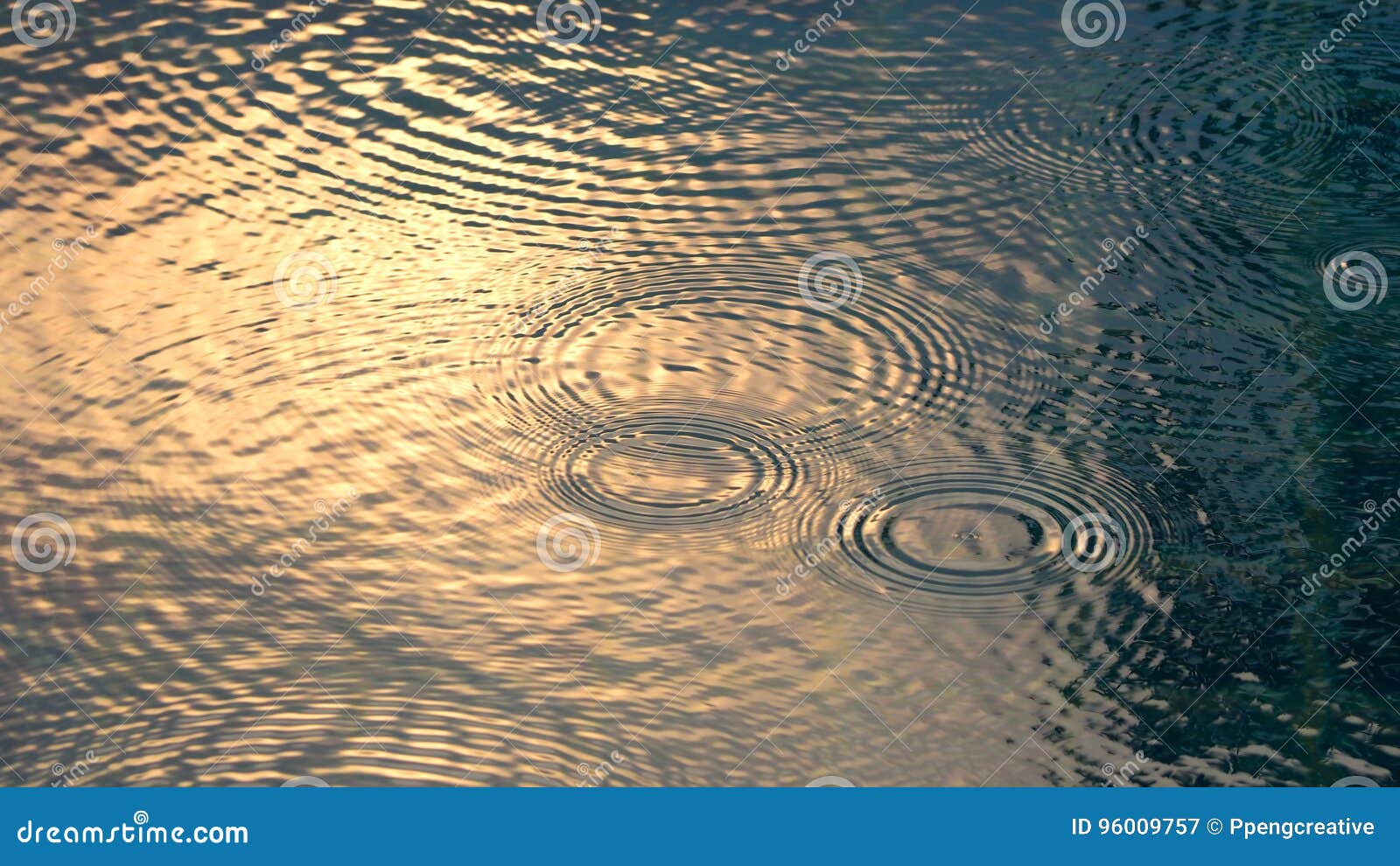 Rain Drops On The Water Pool That Have Ripple Wave Effect Stock Image