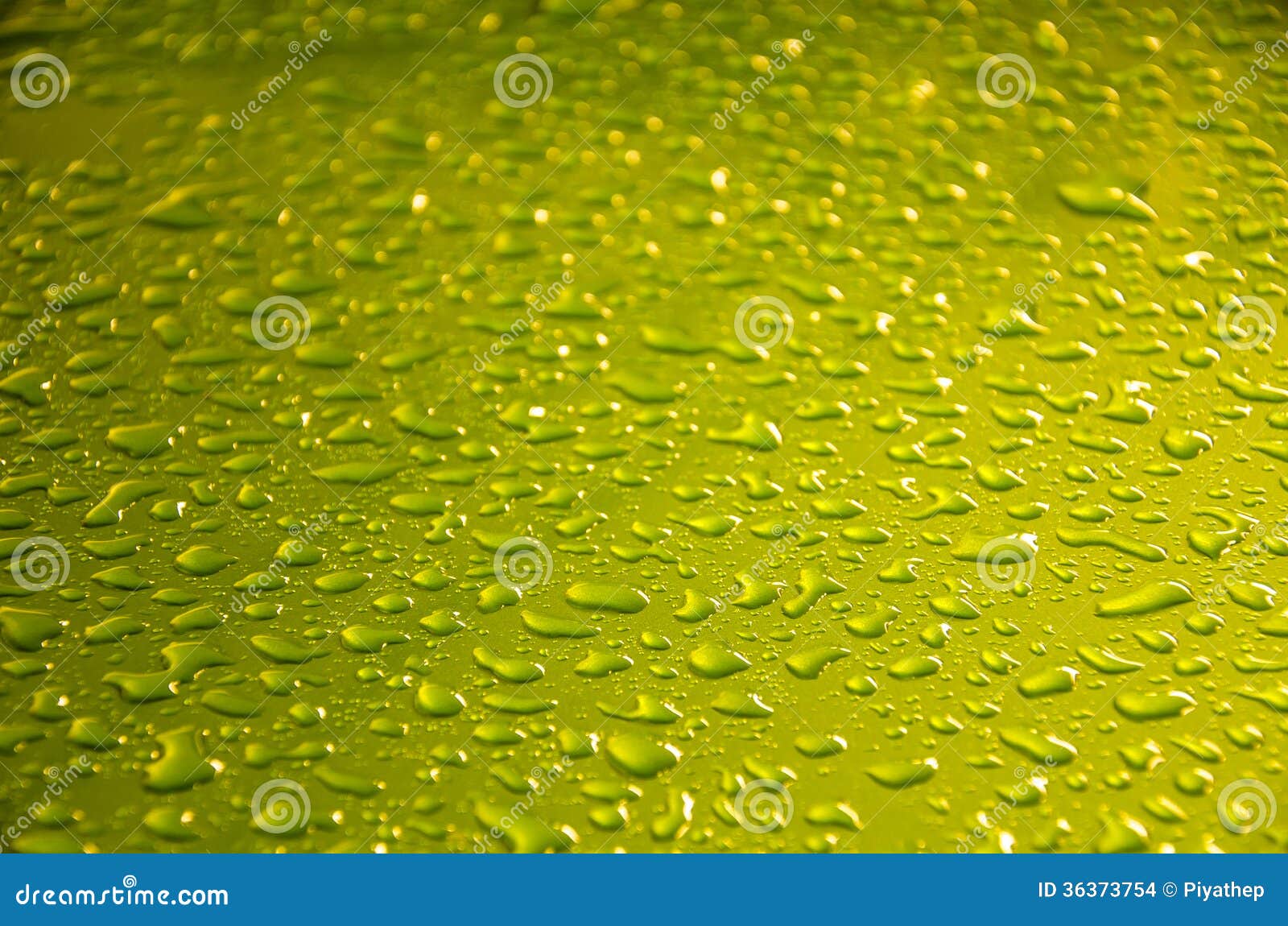 Rain Dropts (green Texture) Stock Photo - Image of thanksgiving, green ...