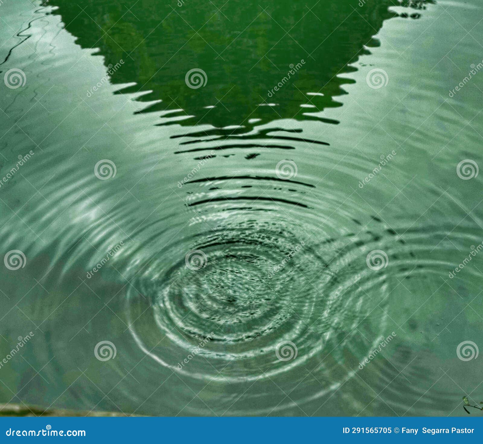 the rain falls on the river water, forming waves with large circles