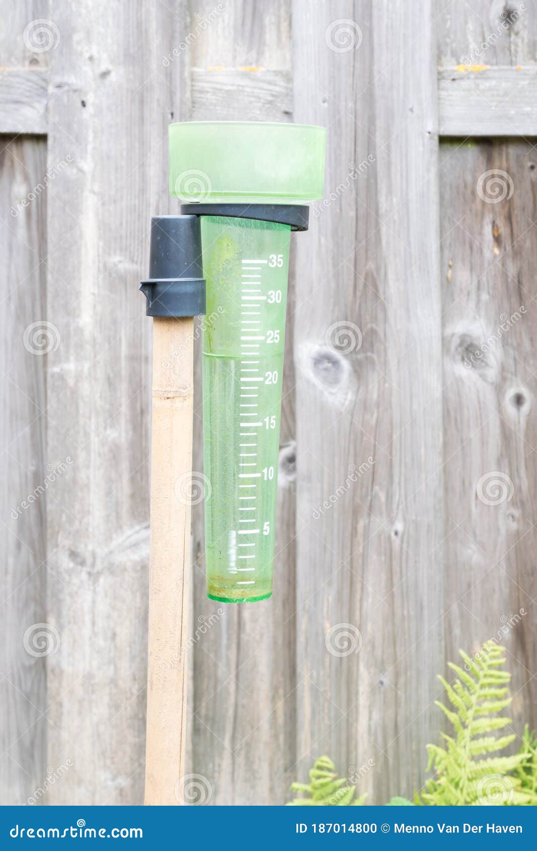 Rain Gauge for Measuring Precipitation Stock Photo Image of inch