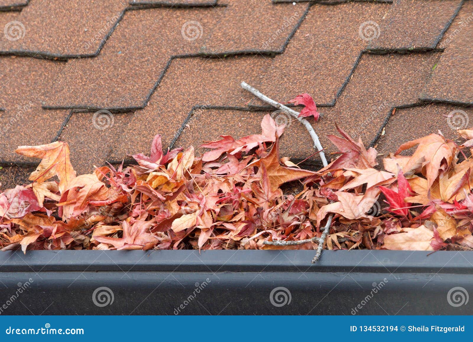 close up on rain gutter clogged with leaves and debris