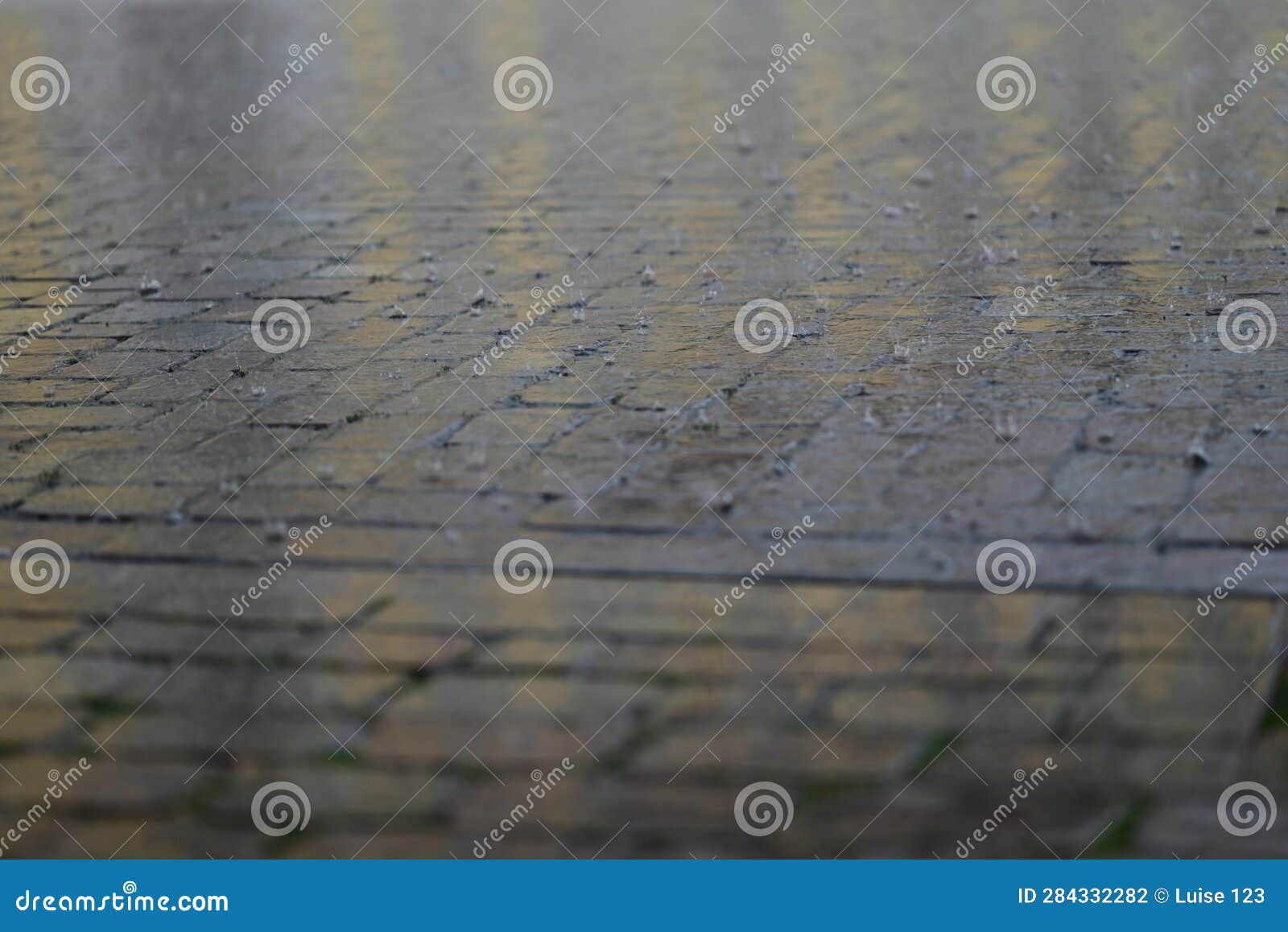 Rain on Pavement As a Close Up Stock Photo Image of storm, rainy