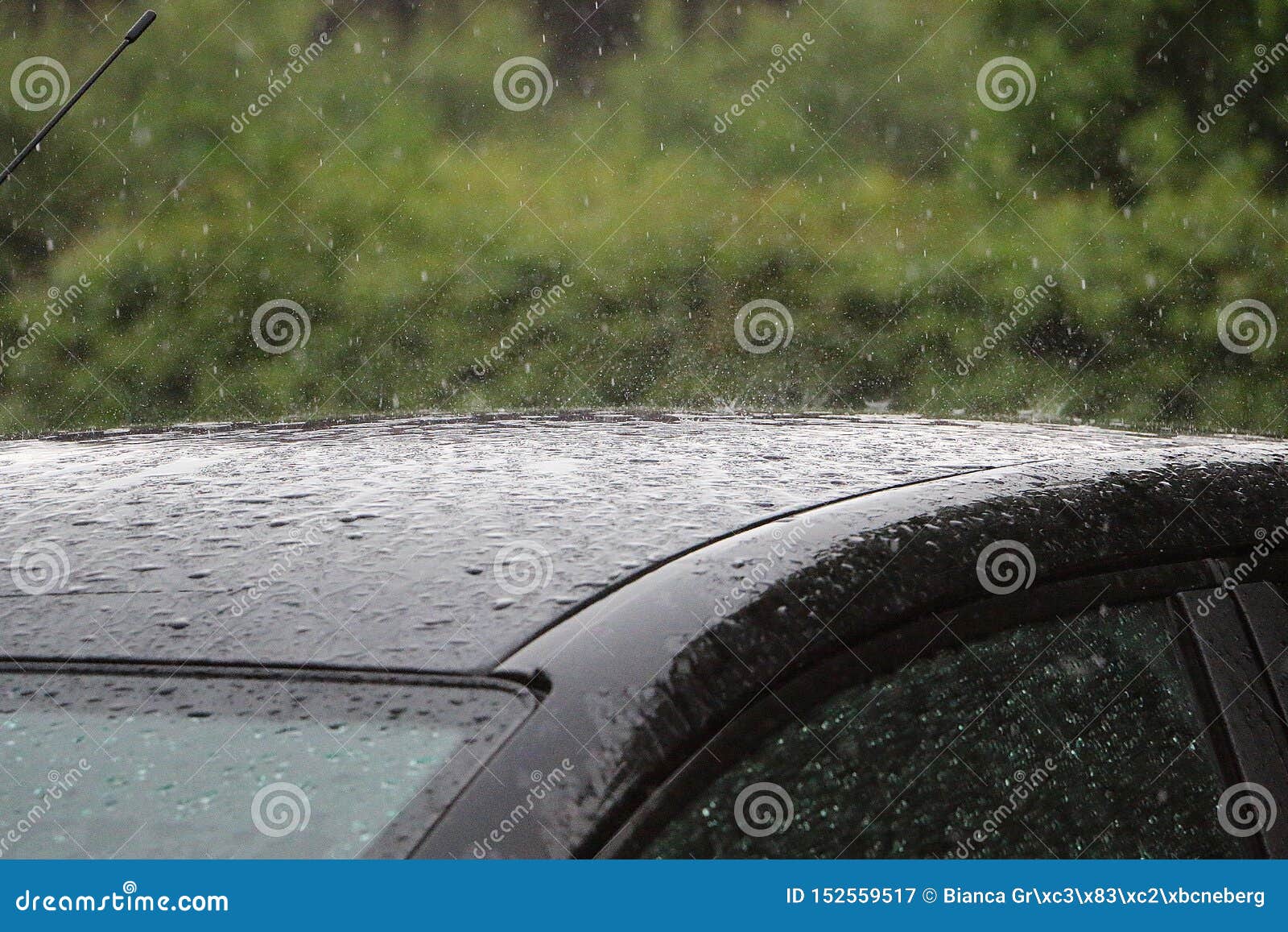 Rain is Falling on the Roof from a Car Stock Image Image of reflection, auto 152559517