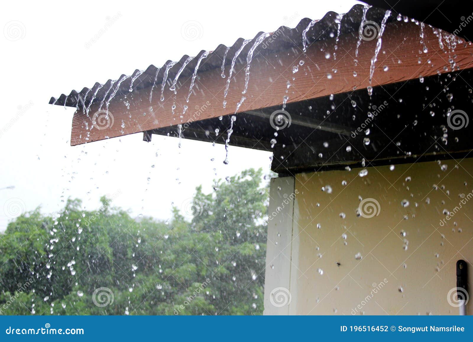 raining on roof home, rain drops fall continuously