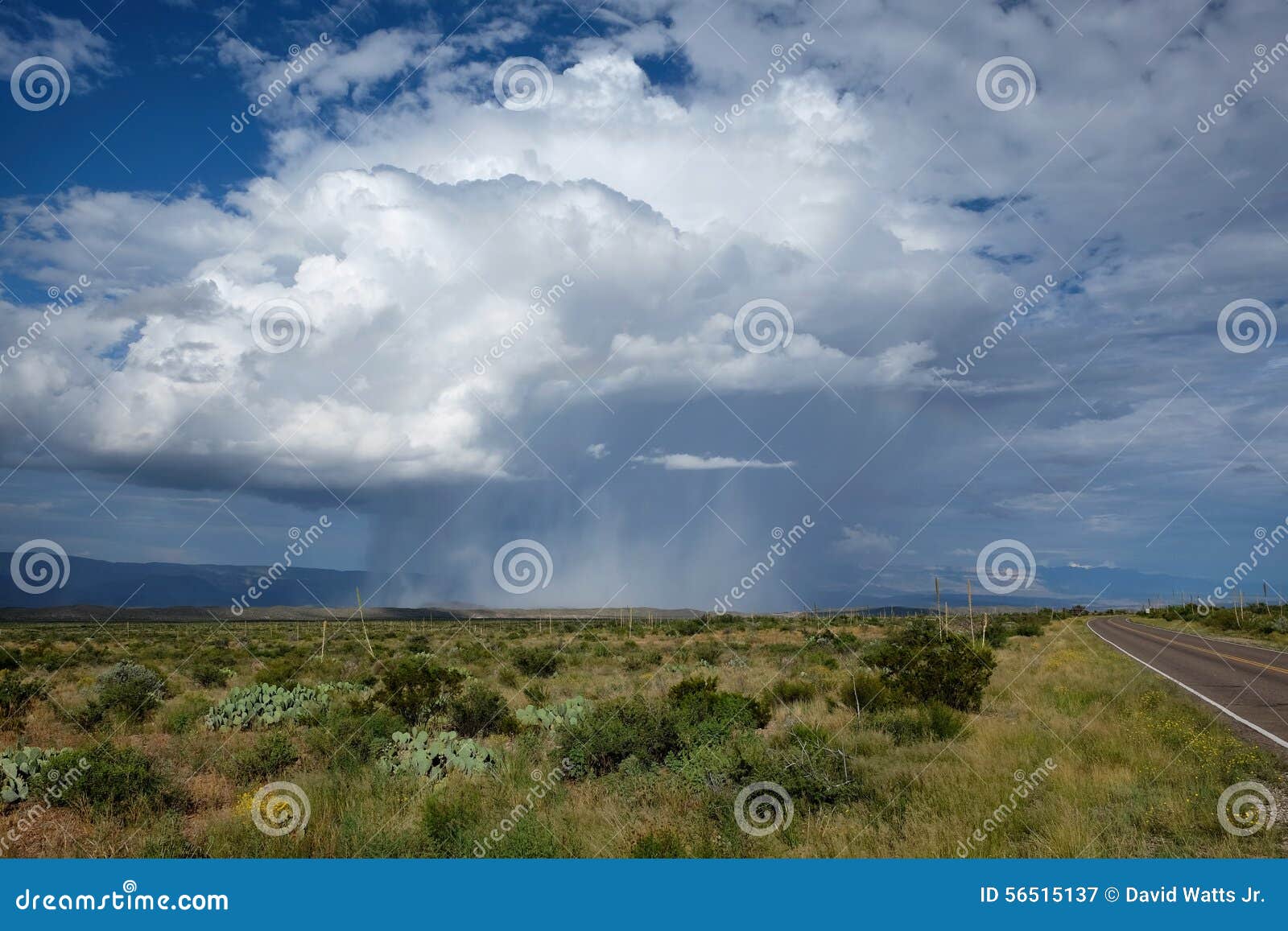 Beautiful image of a rain shaft descending from a storm cloud in the Big Bend National Park and the Chihuahuan desert.