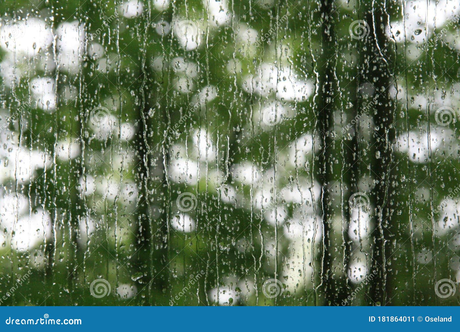 rain soaked window with green trees in summer.
