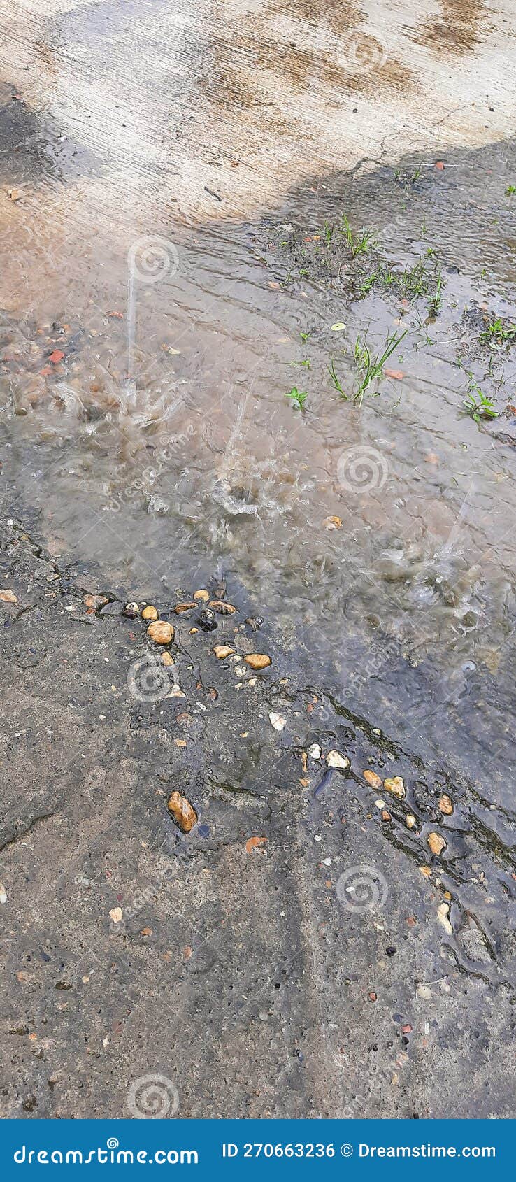 Rain Splash Water Texture on Cement Floor Stock Photo Image of flower