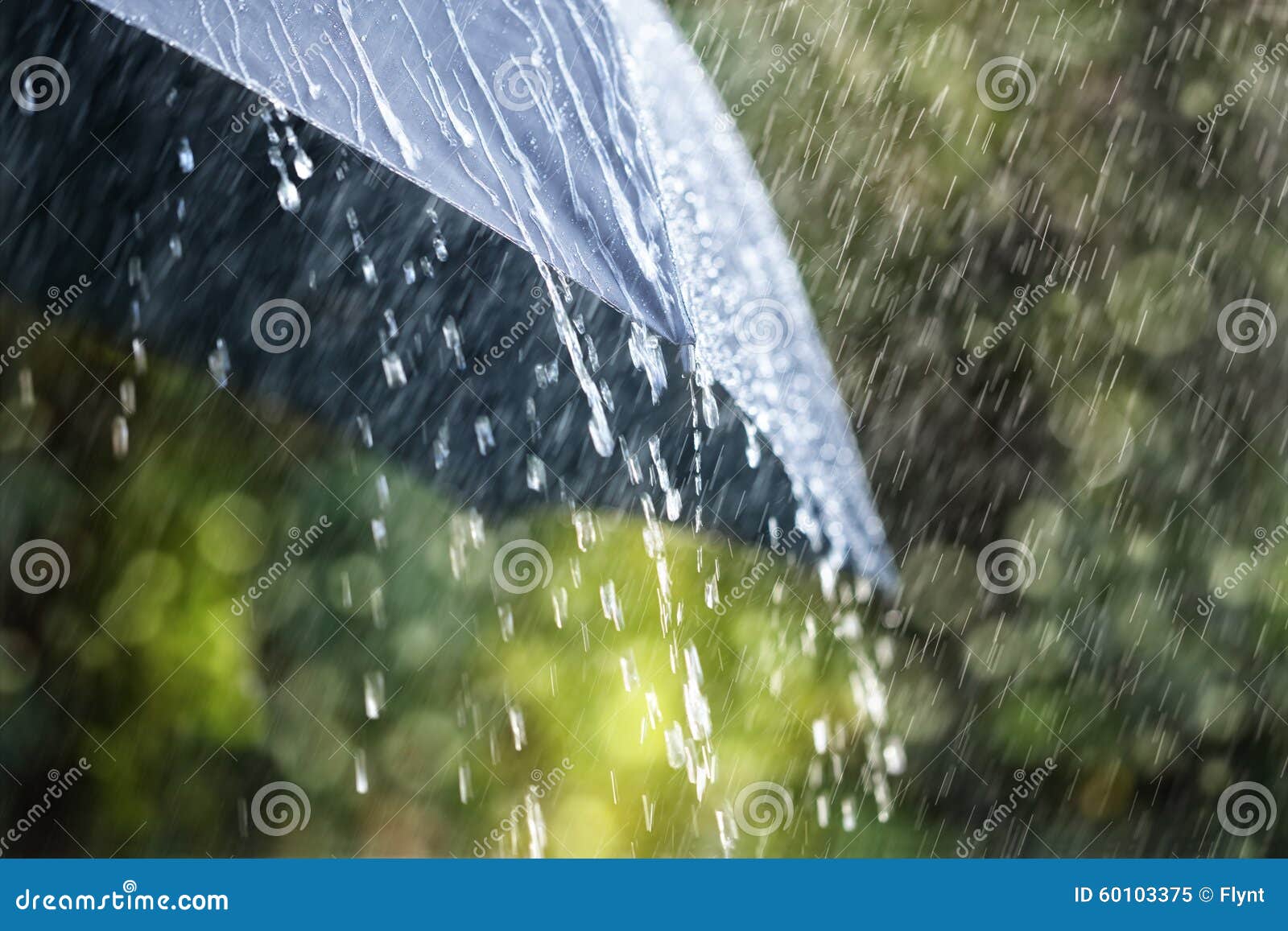 rain on umbrella