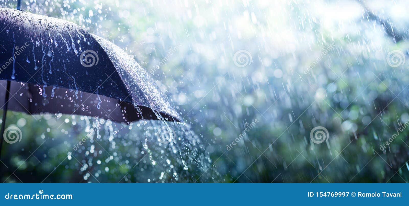 rain on umbrella