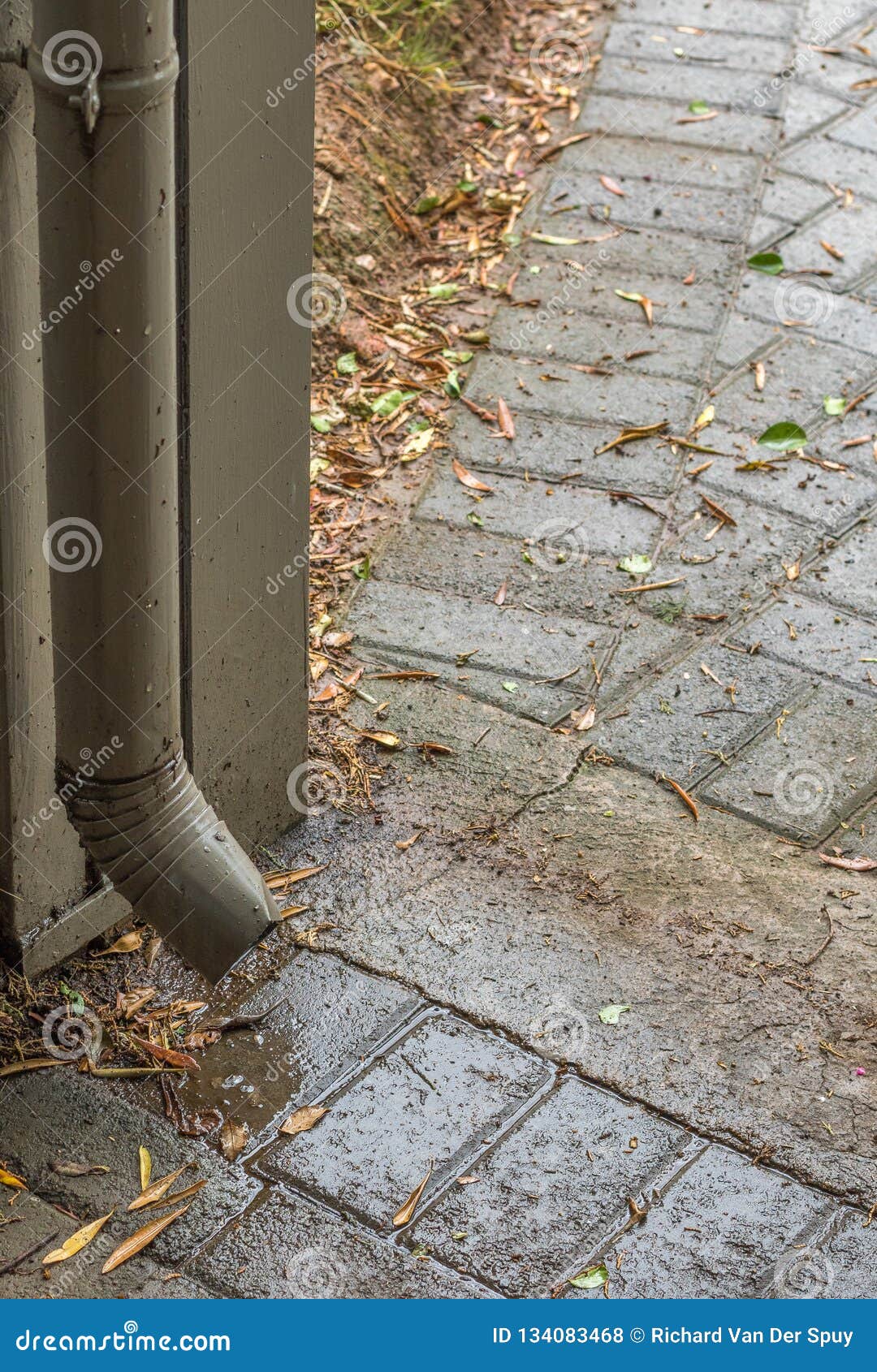 Rain Water Leak from a Gutter Onto the Ground Stock Photo Image of