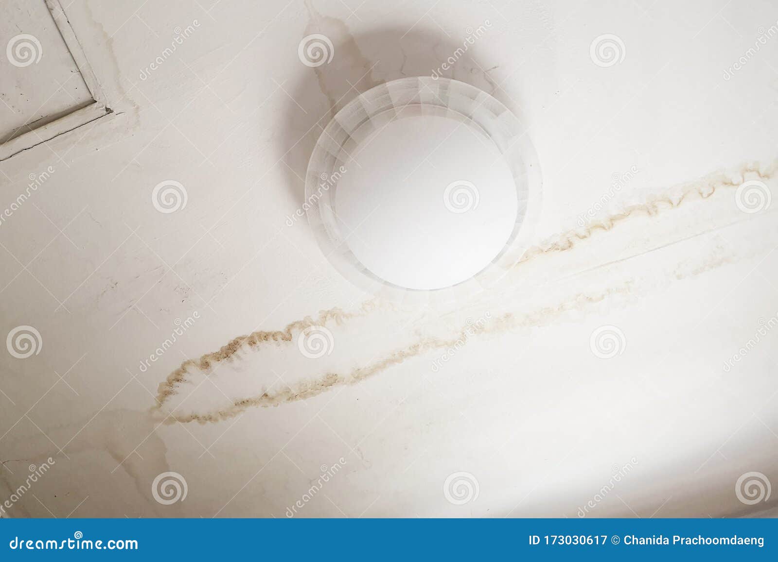 rain water leaks on the ceiling causing damage, tiles and gypsum board.
