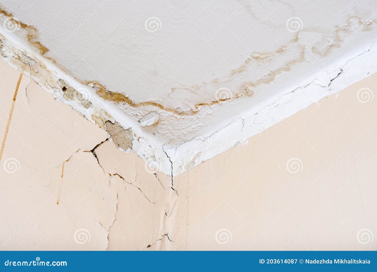 Rain Water Leaks on the Ceiling because of Damaged Roof Causing Decay