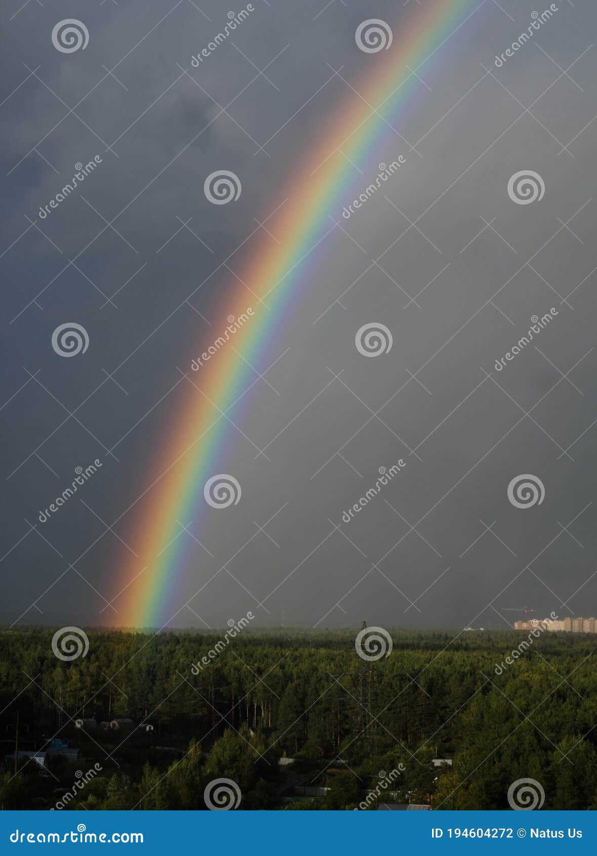 rainbow on the background of the forest and sky