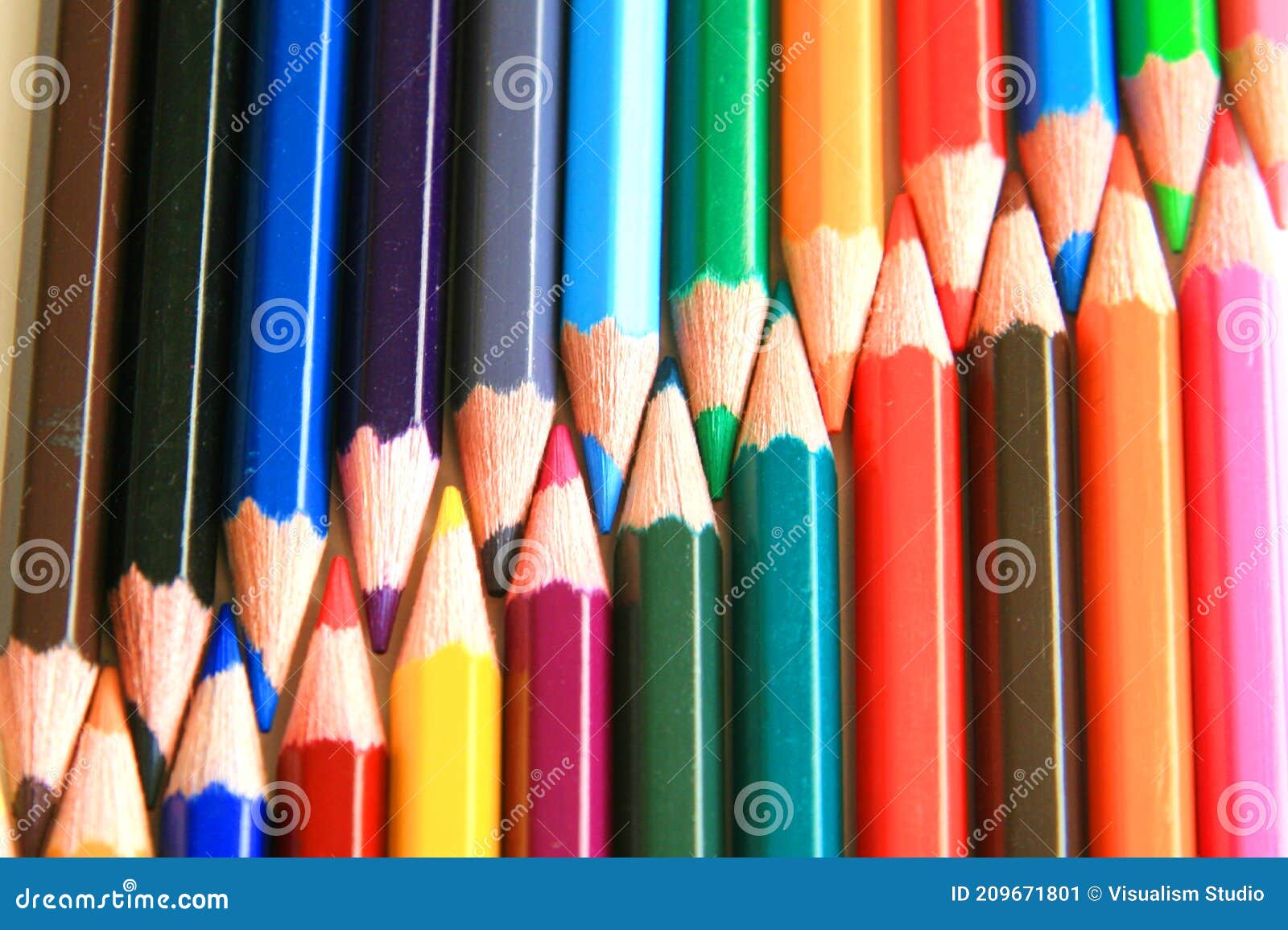 rainbow bunch laying realistic pencils drawing colorful pattern in the white