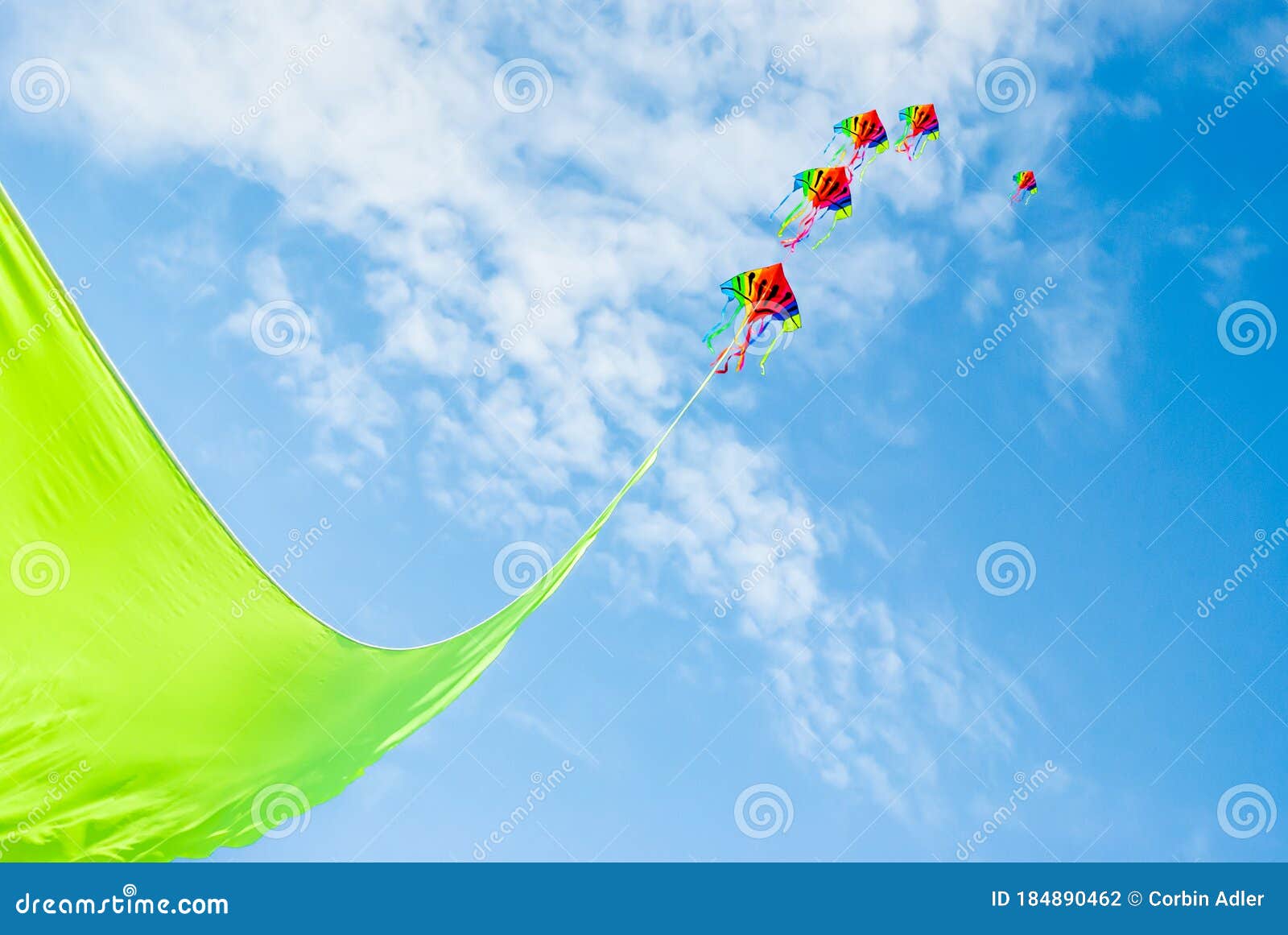 Amazon.com: In the Breeze Rainbow 27 Inch Diamond Kite - Single Line ...