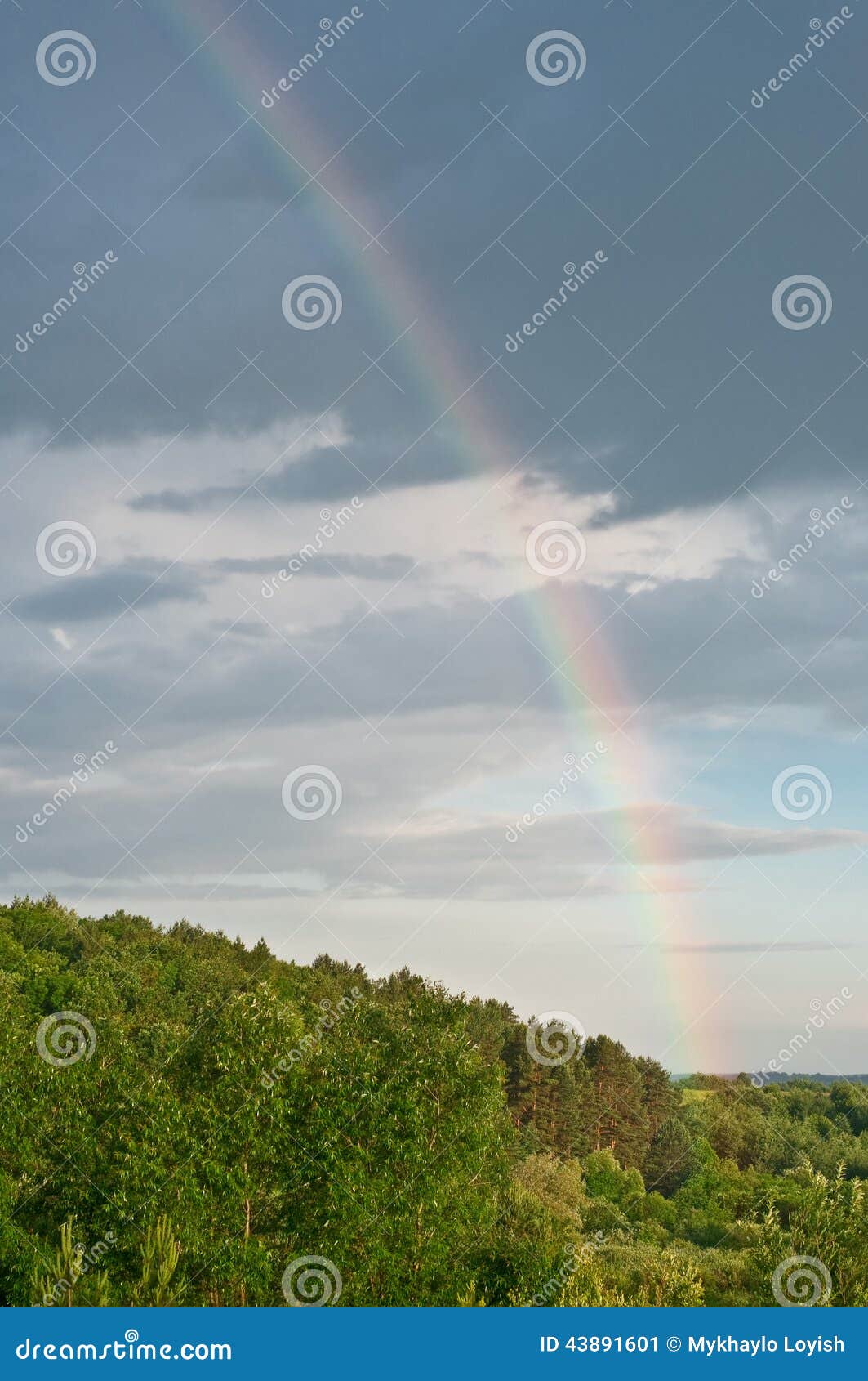 rainbow in the dark rainbow in the dark