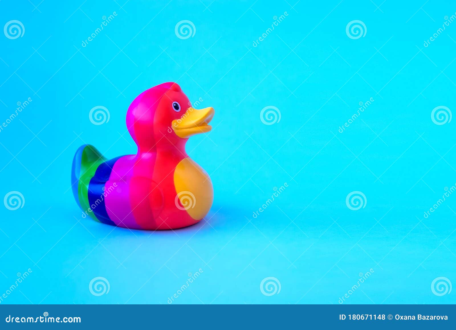 RAINBOW DUCK on BLUE BACKGROUND. LGBT COMMUNITY Stock Photo - Image of