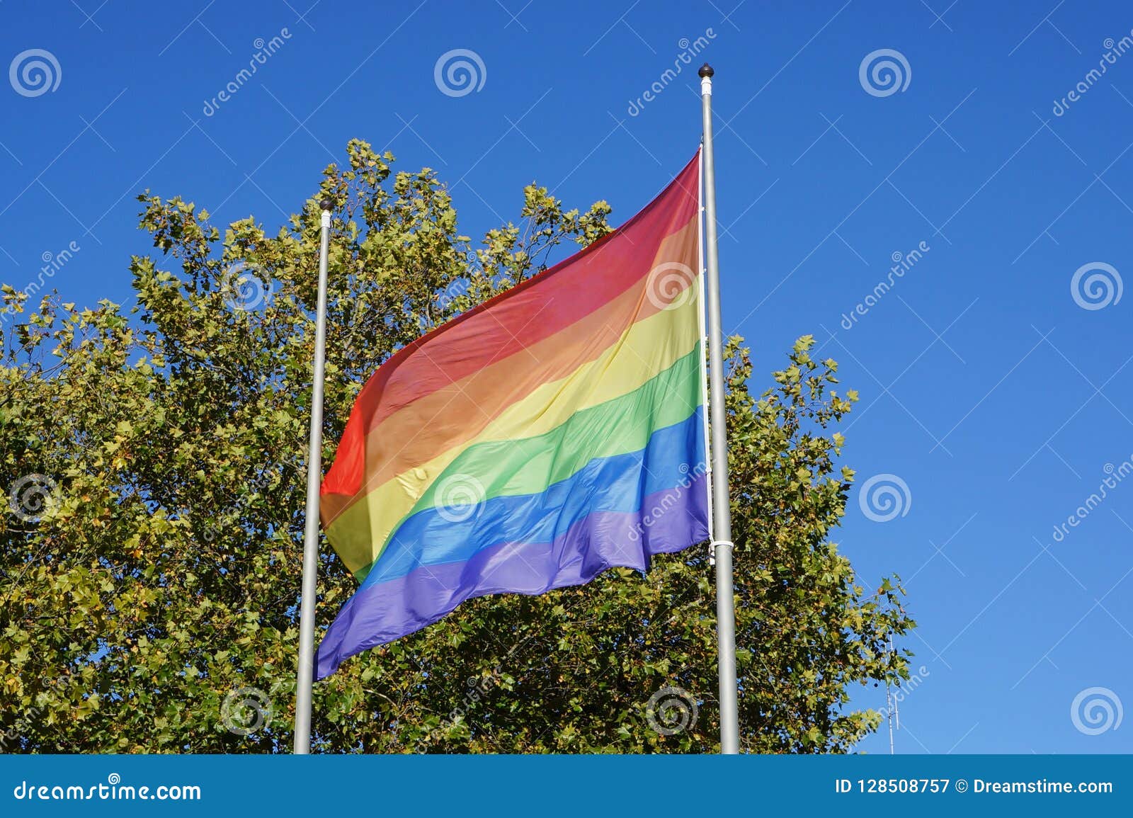 A Rainbow Lgbt Flag Stock Image Image Of Party Lgbt