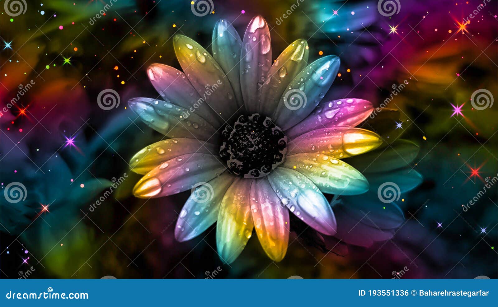 Rainbow flower background. stock photo. Image of rainbow - 193551336