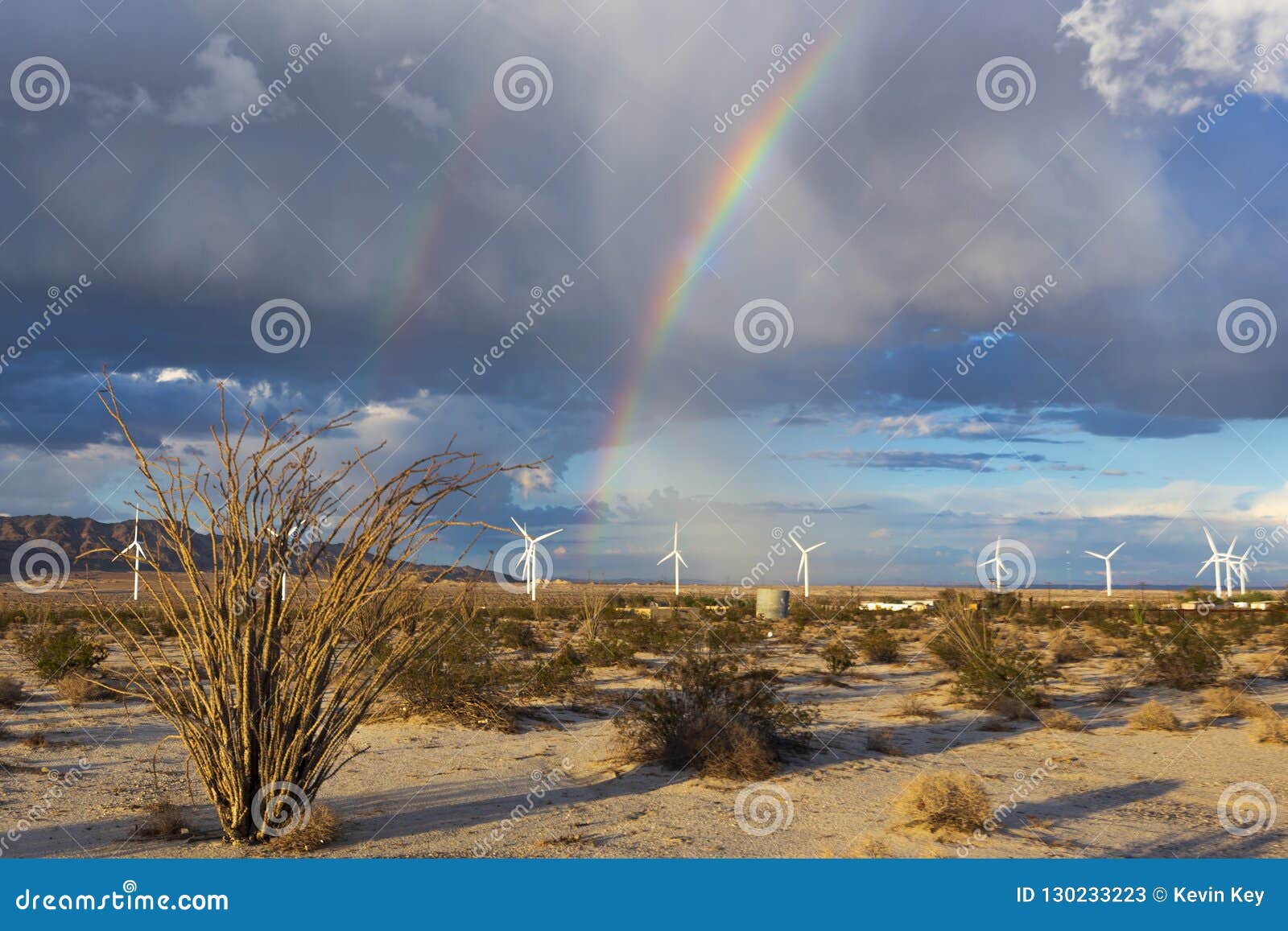 rainbow, ocotillo, and wind turbines in the desert