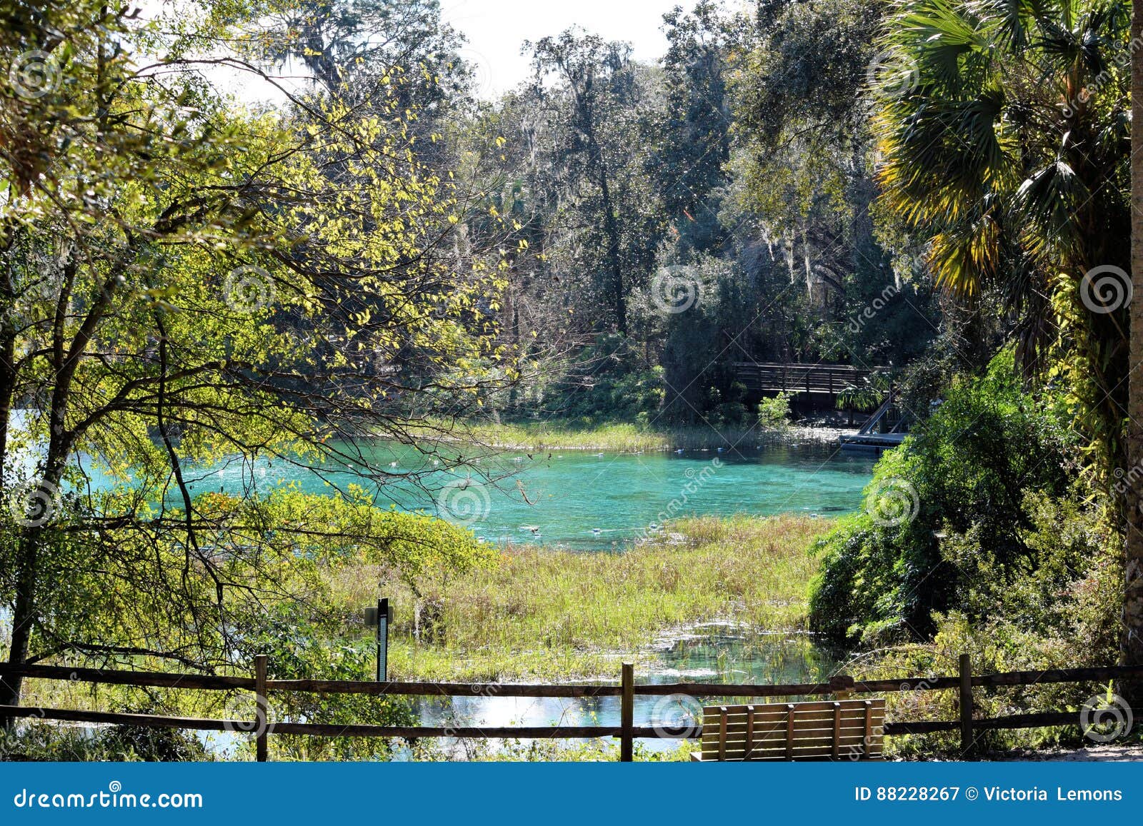 Rainbow Springs in Dunnellon, Florida Stock Image Image of travel
