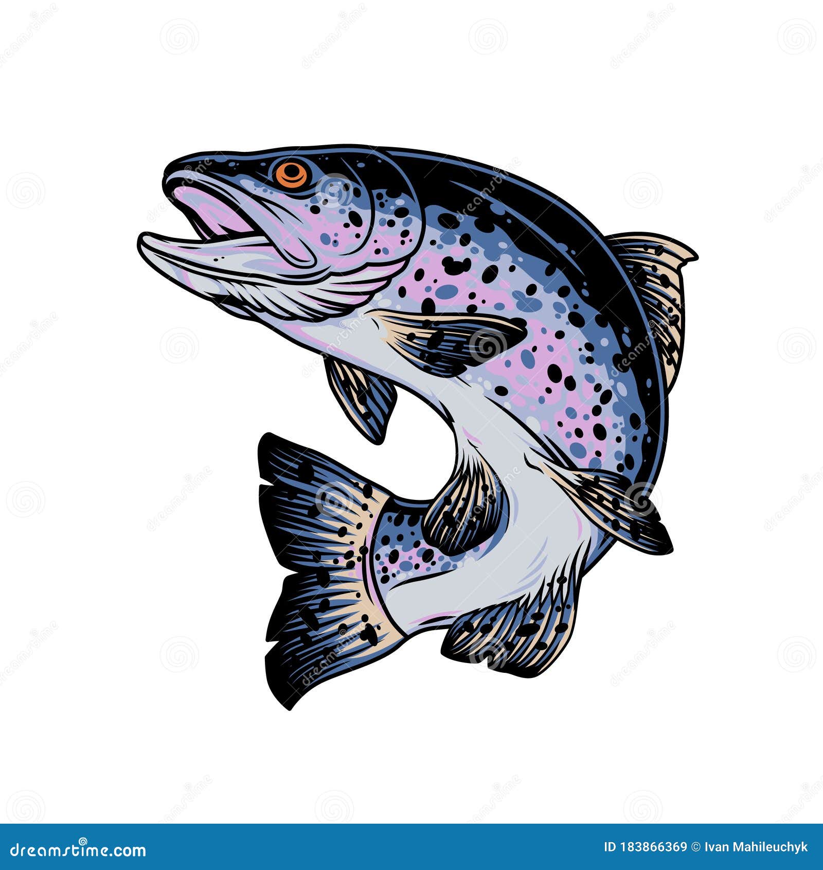 Rainbow Trout Vector Isolated On A White Background. Fish Mascot Vector