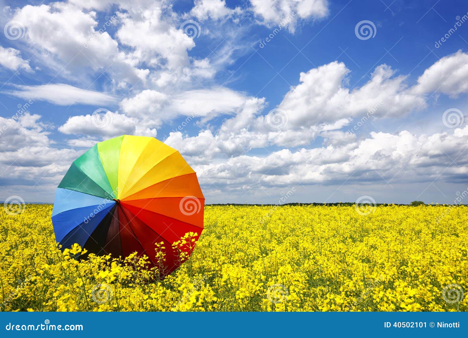 Rainbow umbrella stock image. Image of plantation, blue 40502101