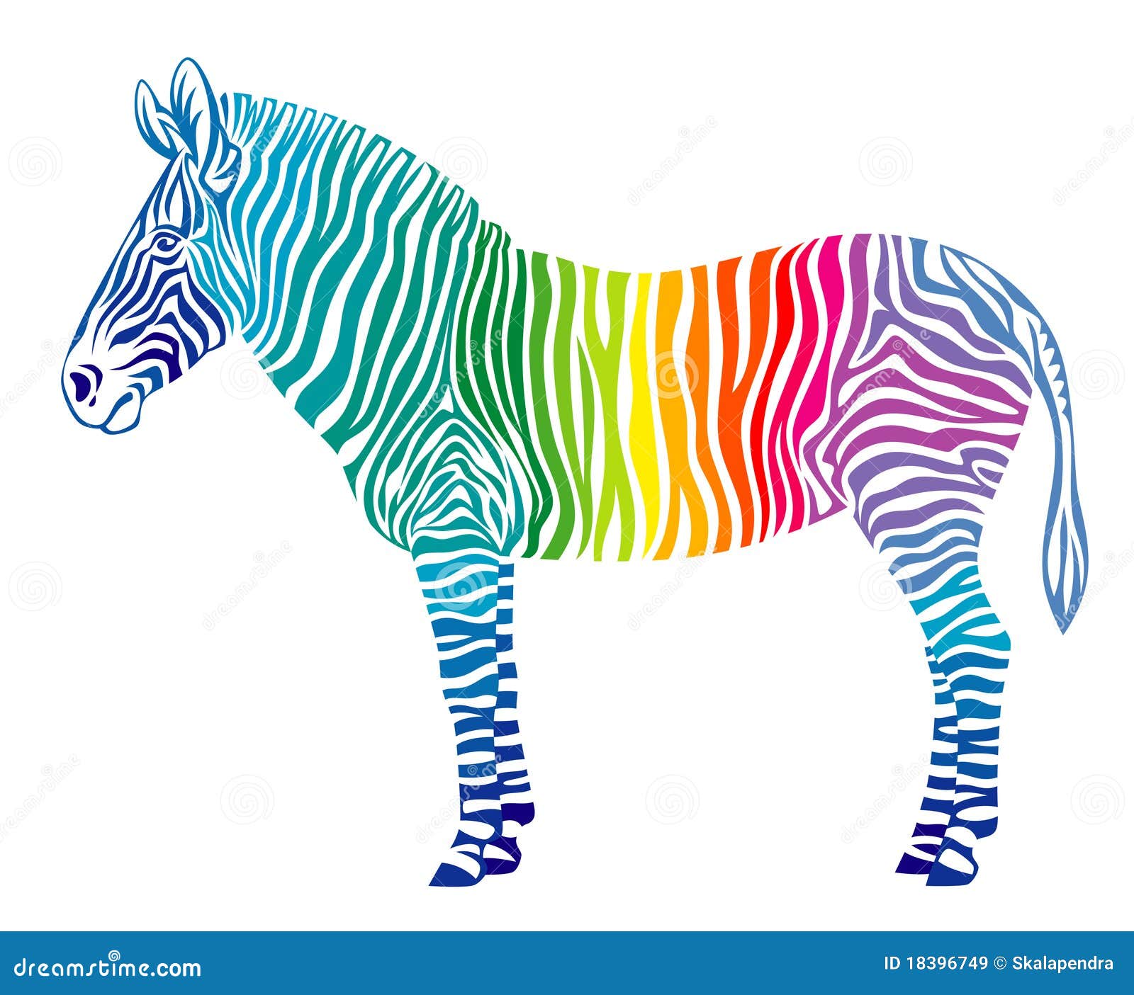 Rainbow zebra stock vector. Illustration of contrast - 18396749