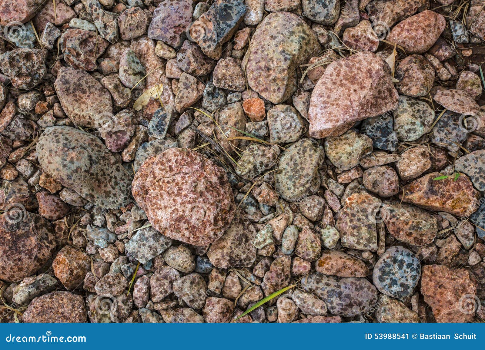Raindrops on dry rocks stock image. Image of raindrops 53988541