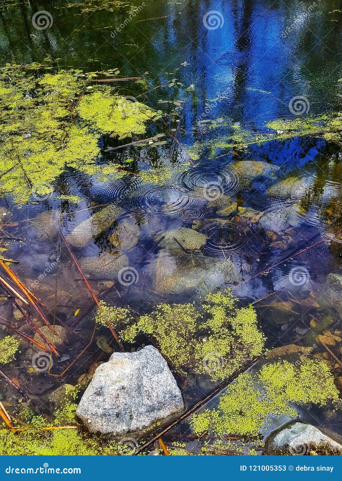 alta lake, pateras, washington june 2018