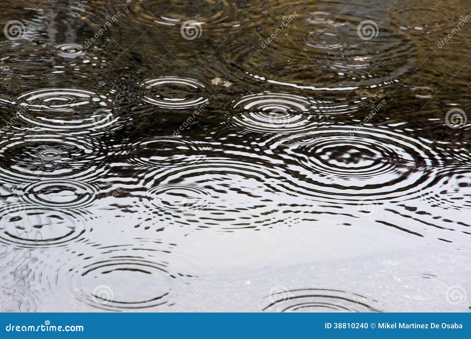 raindrops on puddle