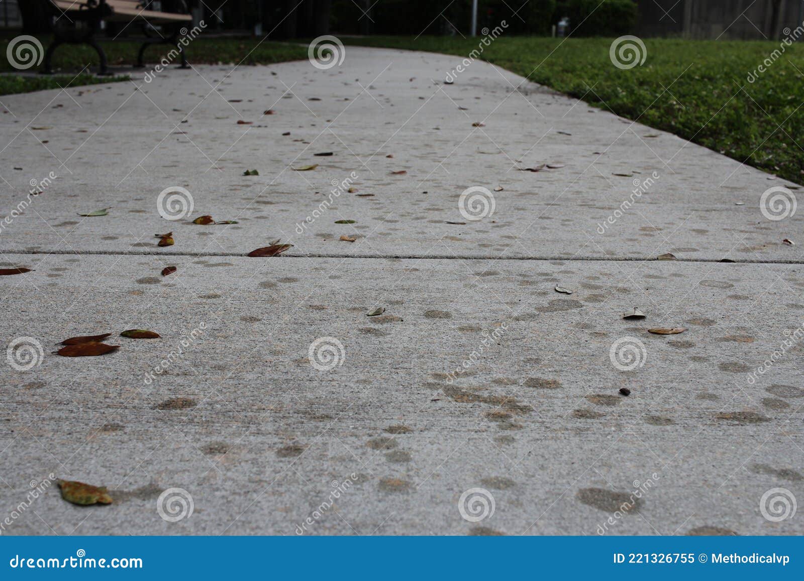 Raindrops on the sidewalk stock image. Image of wall 221326755