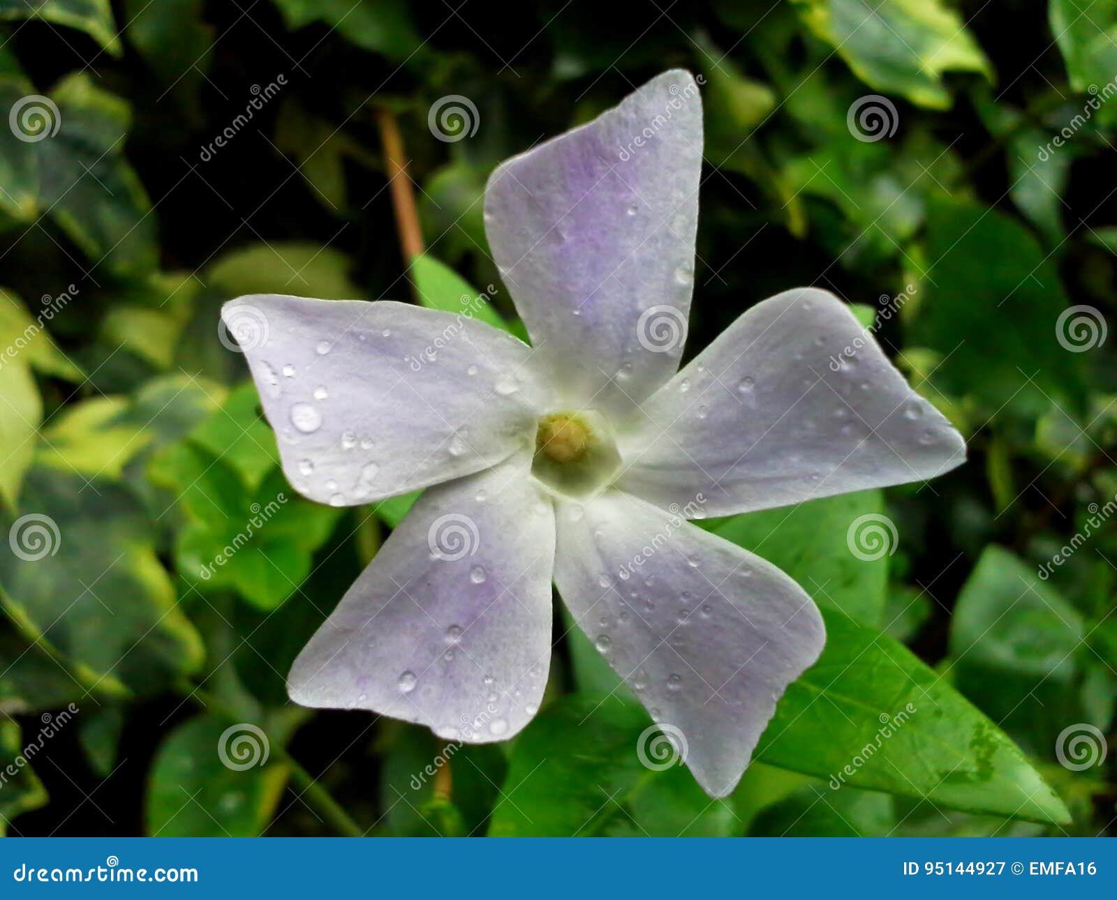 White New Intermediate Bulk Container Or IBC Plastic Tank With Metal
