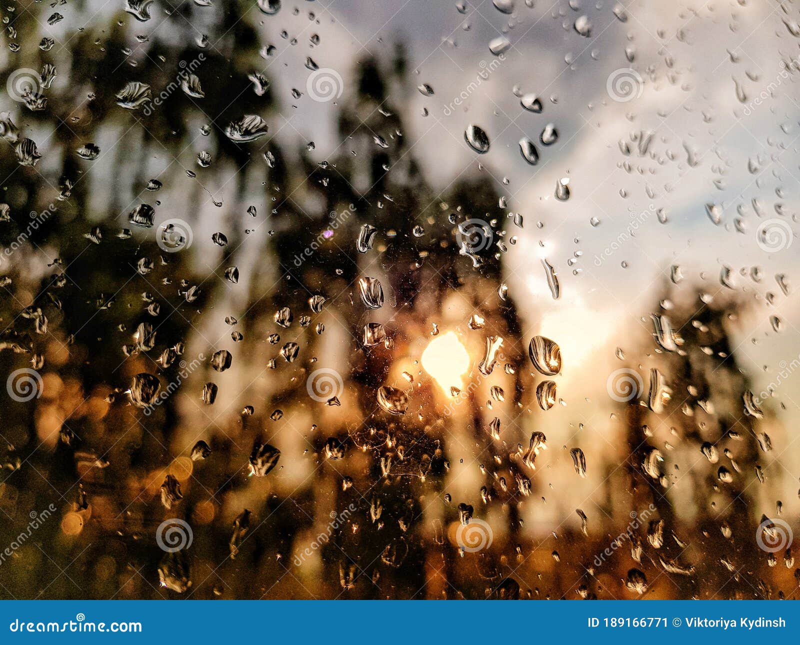 Hãy tận hưởng những cơn mưa hạnh phúc vào mùa hè này với bức ảnh đẹp như mơ! Ảnh sẽ khiến bạn nhớ đến những giây phút ngọt ngào của mùa hè khi trời mưa.