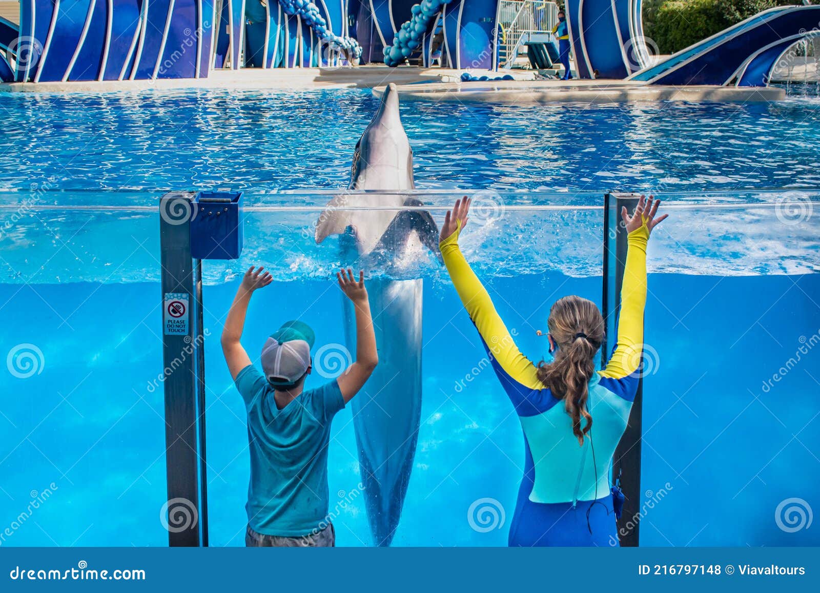 rainer-interacted-with-dolphin-in-dolphin-days-show-at-seaworld-12