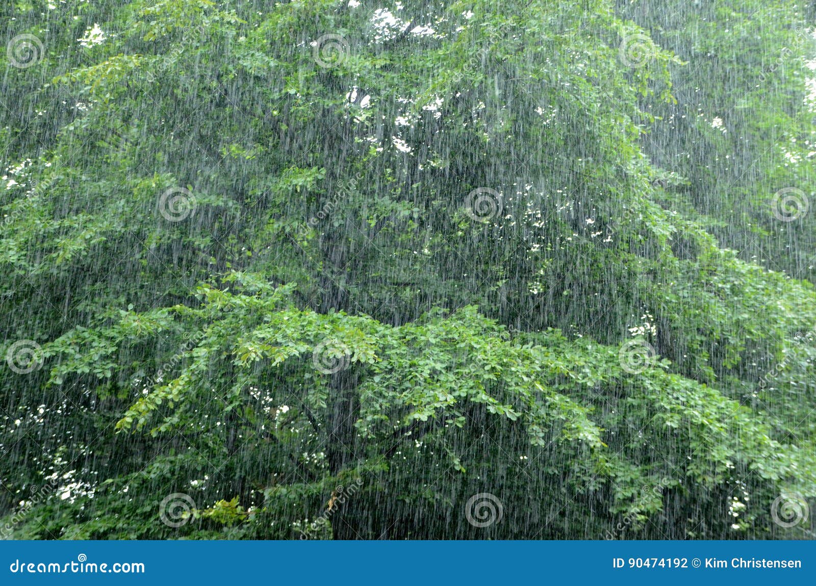 Rainfall stock photo. Image of visibility, rain, background 90474192