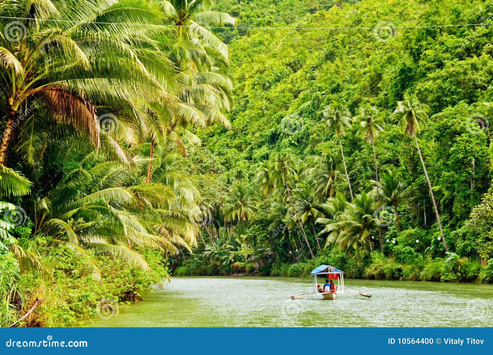 Rainforest River Cruise stock photo. Image of amazon 10564400