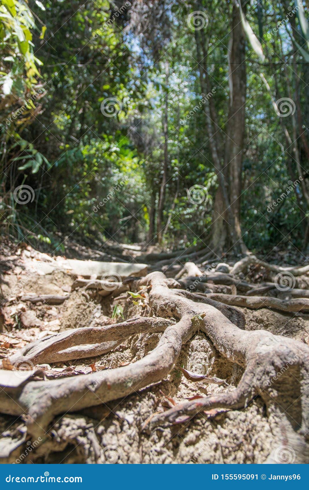 Frog Perspective Main House Sintra Stock Photography 142905950