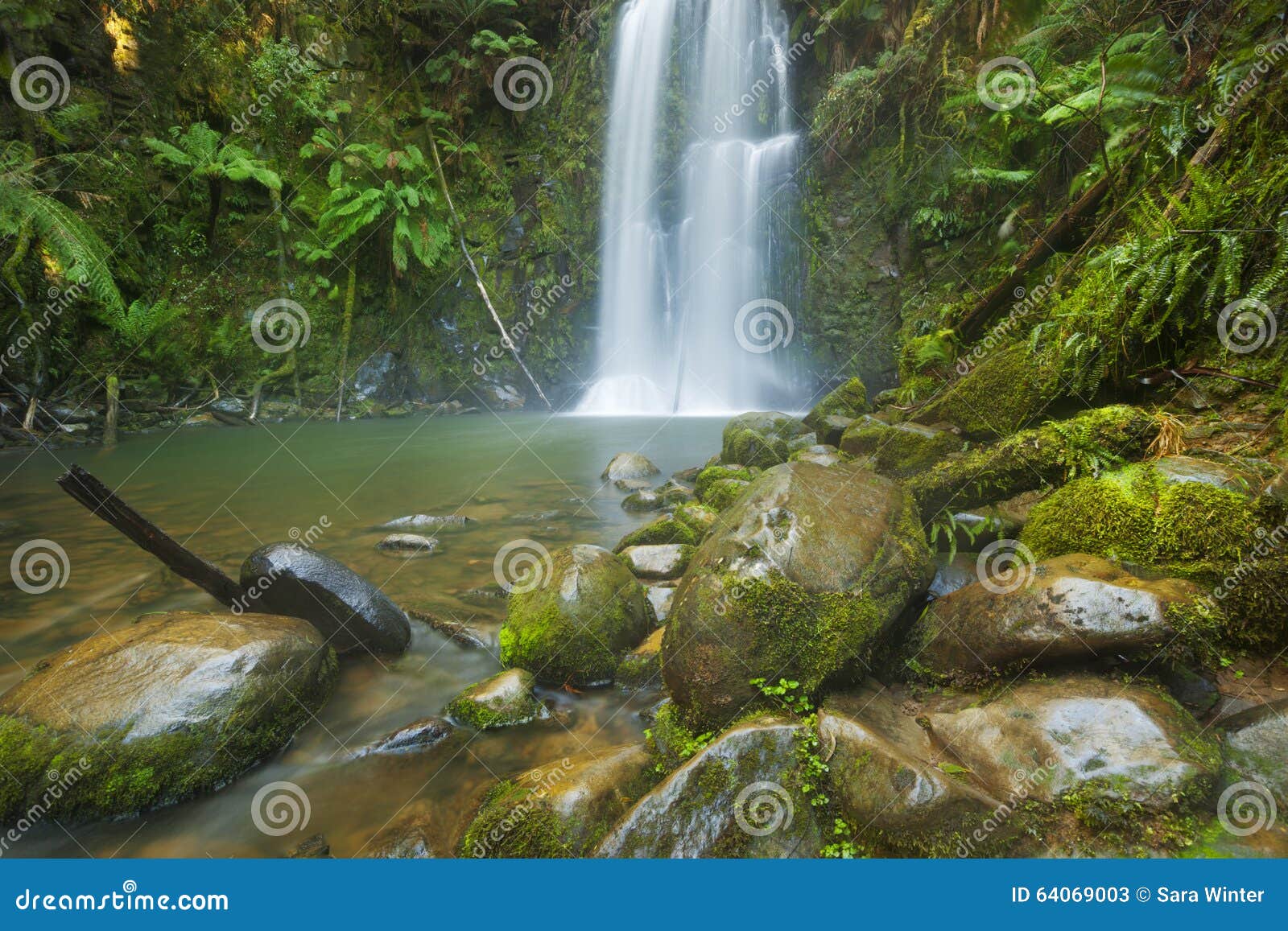 rainforest waterfalls, beauchamp falls, australia
