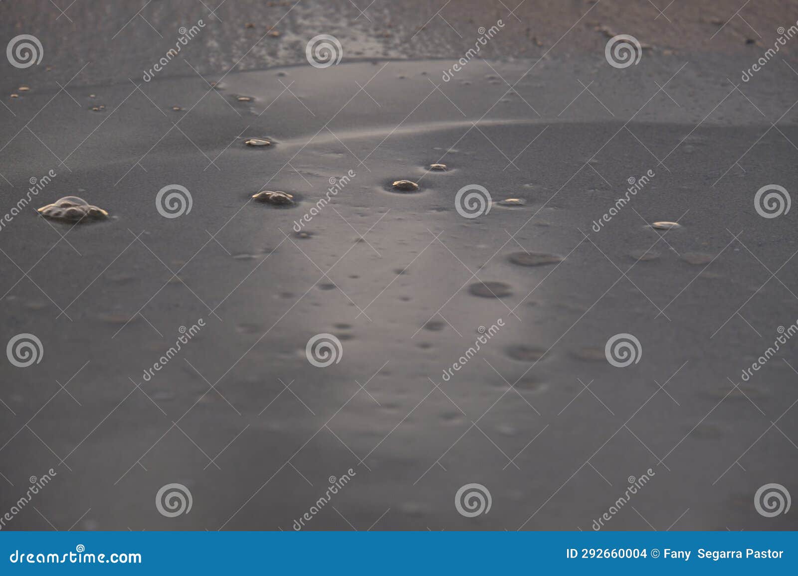 raindrops on the shore of the beach
