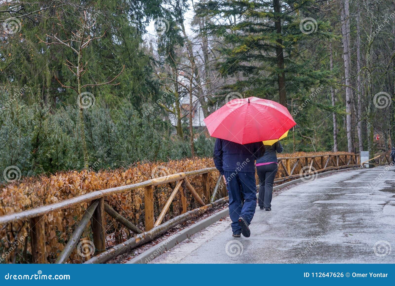 rainy day and people with umbrellas