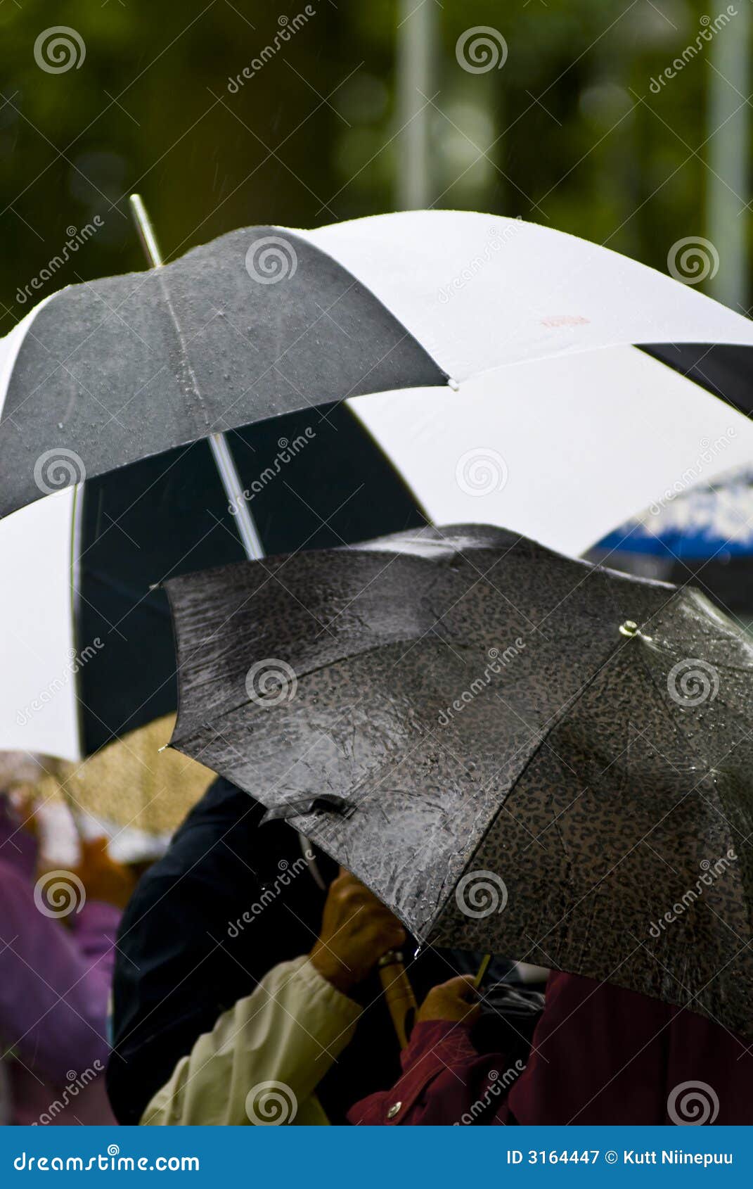 Rainy day umbrellas stock image. Image of umbrella, colors 3164447