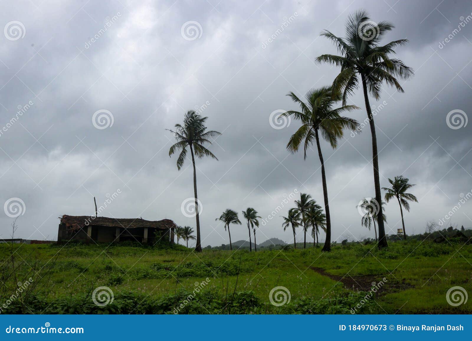 Rainy seasons in india stock image. Image of rural, monsoons 184970673