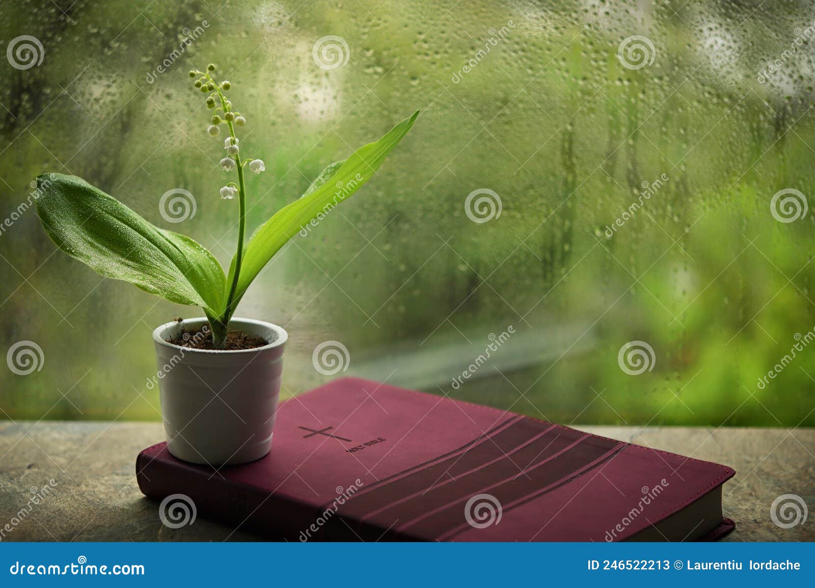 Spring with Lily of the Valley on Bible Stock Image Image of lord, drop 246522213