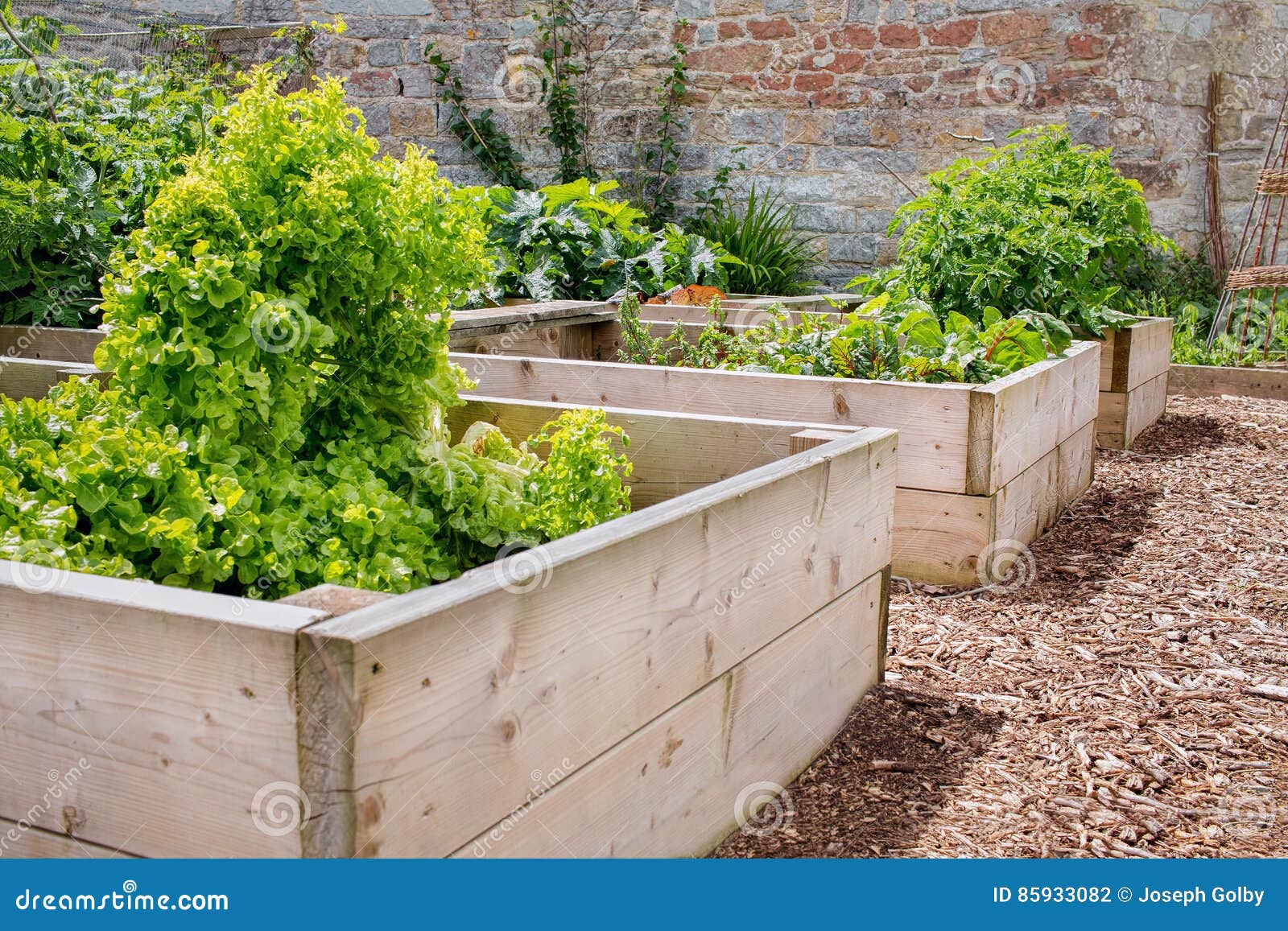 Raised Bed Vegetable & Flower Garden Stock Photo Image of farmyard, home 85933082