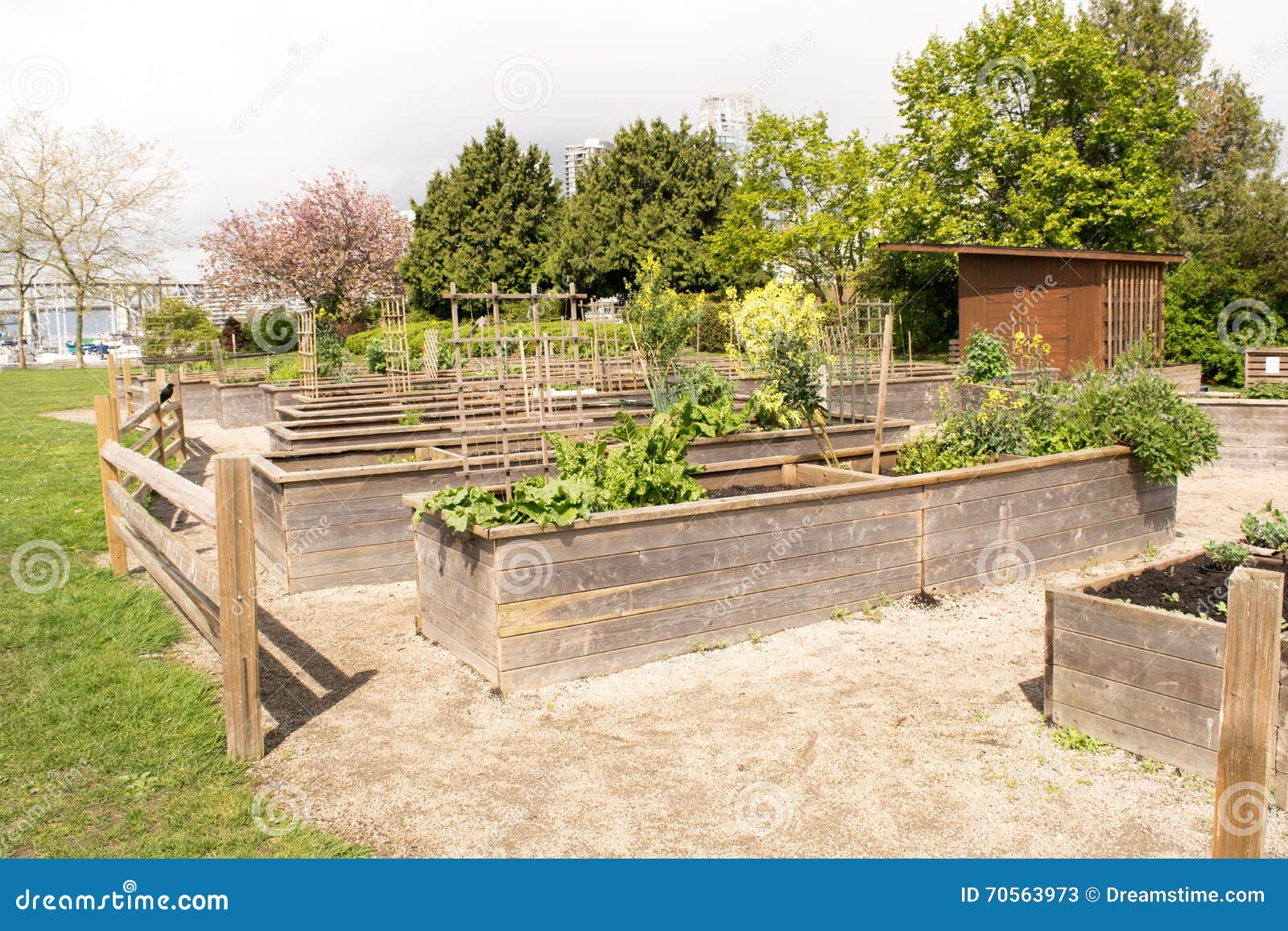 Raised Beds in a Community Garden Stock Image Image of organic, earth
