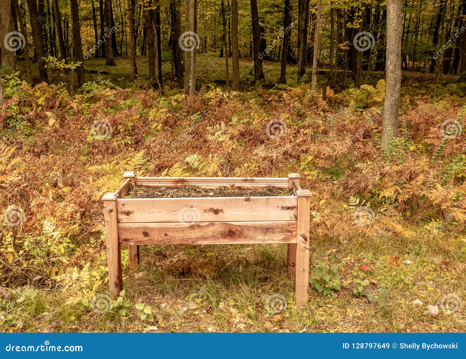 Raised Garden Bed On Legs Located In Forest Of Wisconsin During