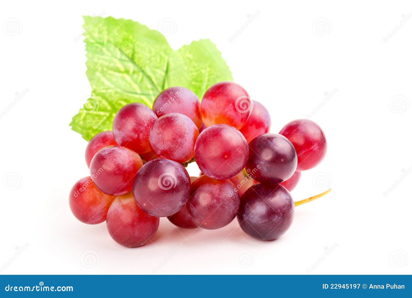Raisin rouge image stock. Image du sain, isolement, moisson 22945197